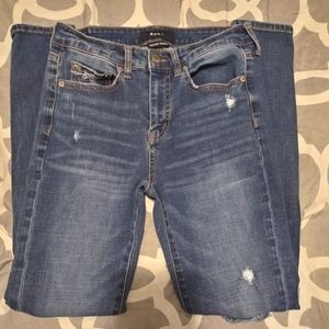 Aero High Rise Jeggings